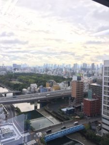 錦糸町プライムタワー眺望
