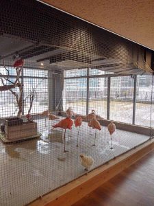 パソナグループ新本社　大手町牧場