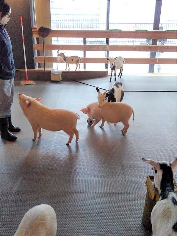 パソナグループ新本社　大手町牧場