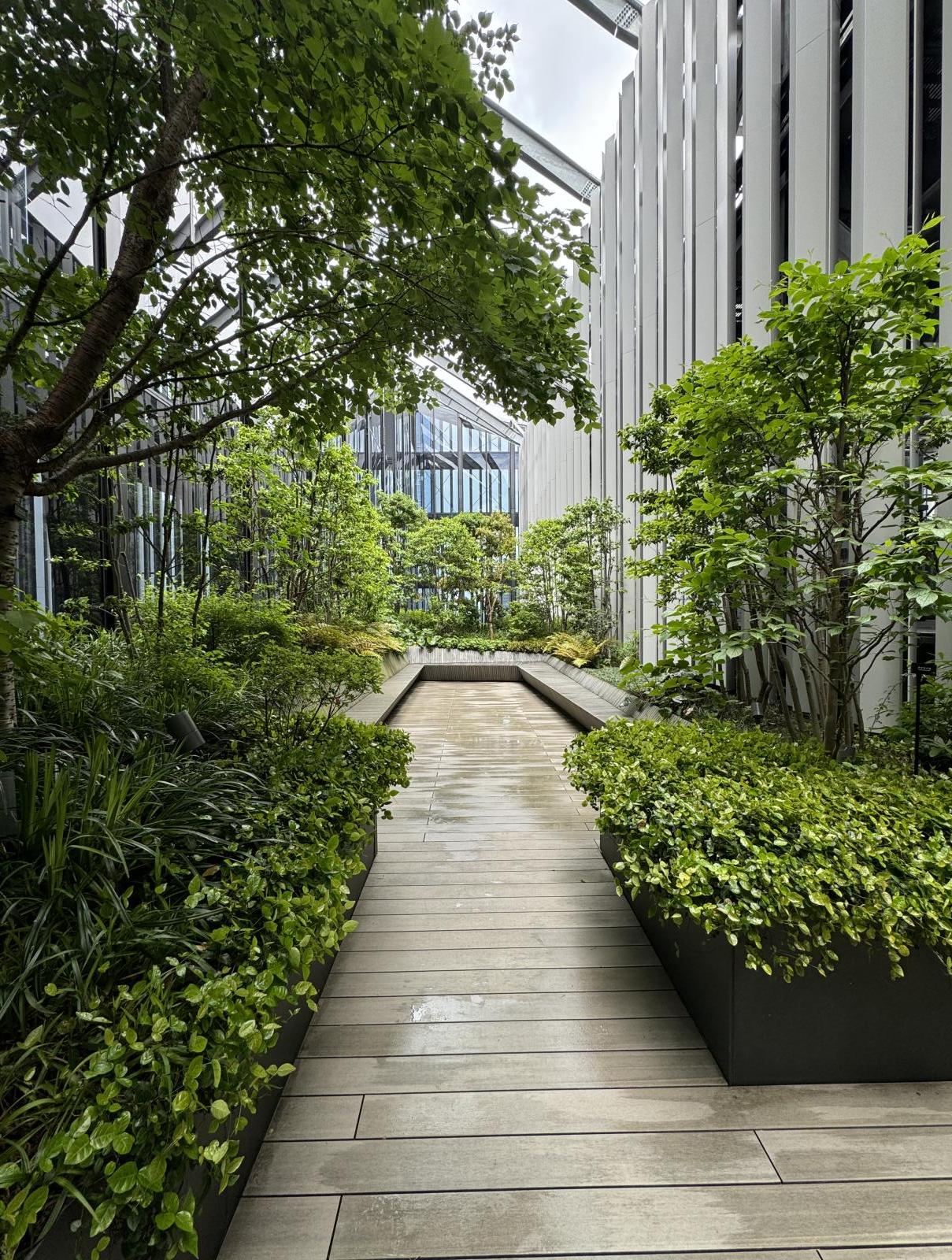 「ミュージアムタワー京橋」屋上庭園