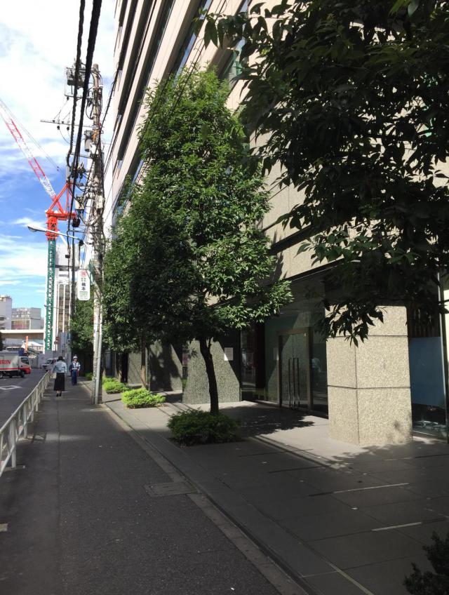 渋谷新南口ビル 4F 225.48坪（745.38m<sup>2</sup>）のエントランス